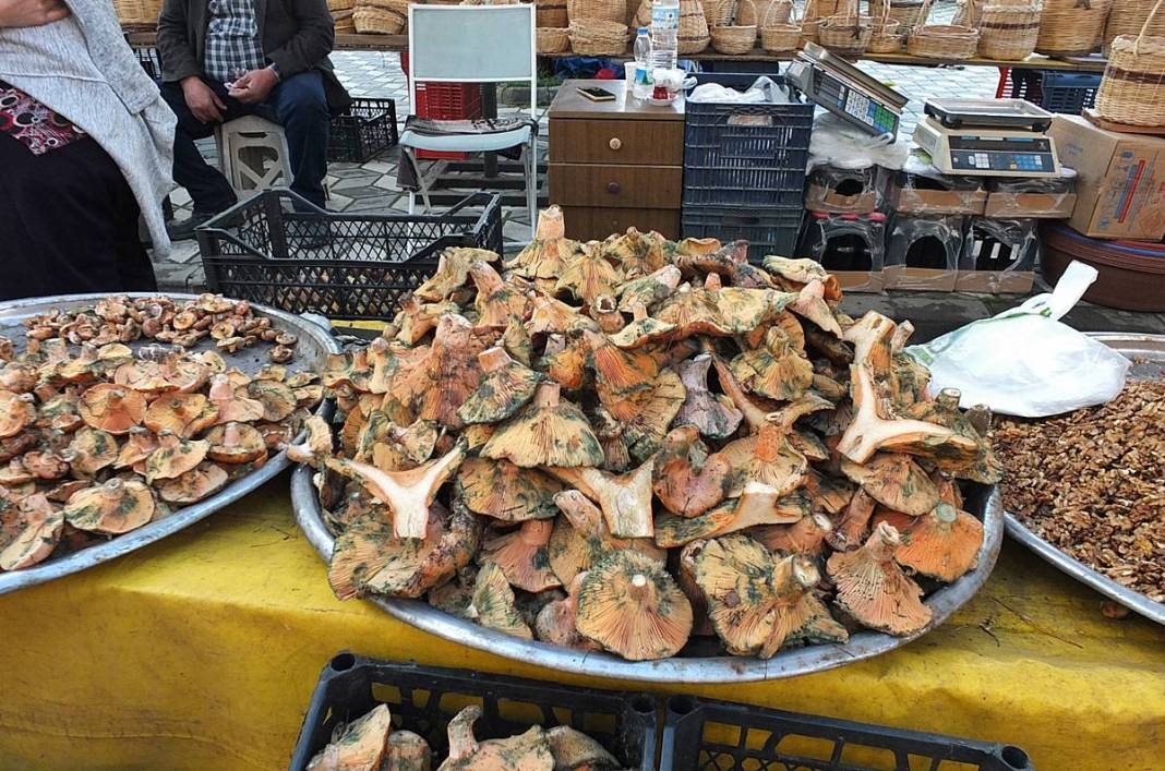 Dağlardan bereket fışkırdı, köylünün yüzü güldü! Kilosu 100 TL'ye kadar düştü 8